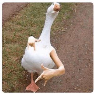 Meet your Posher, Marcos